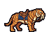 Sabertooth